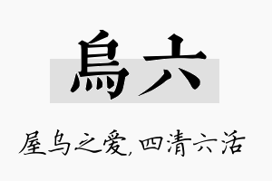 乌六名字的寓意及含义