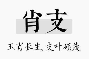 肖支名字的寓意及含义