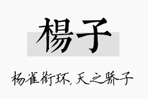 杨子名字的寓意及含义