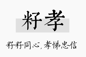 籽孝名字的寓意及含义