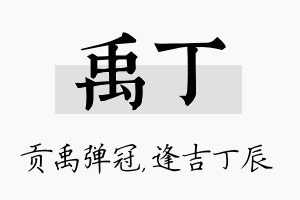 禹丁名字的寓意及含义