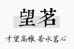 望茗名字的寓意及含义