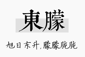 东朦名字的寓意及含义