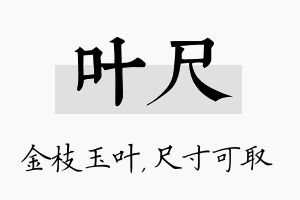 叶尺名字的寓意及含义