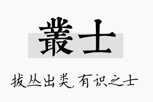 丛士名字的寓意及含义