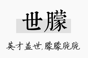 世朦名字的寓意及含义