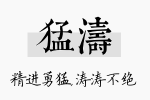 猛涛名字的寓意及含义