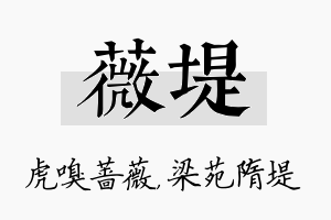 薇堤名字的寓意及含义