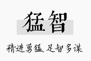 猛智名字的寓意及含义