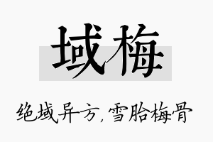 域梅名字的寓意及含义