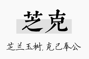 芝克名字的寓意及含义