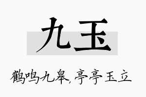 九玉名字的寓意及含义