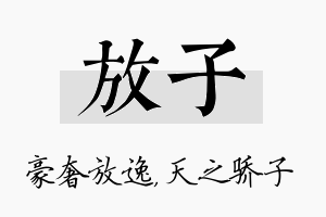 放子名字的寓意及含义