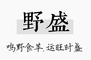 野盛名字的寓意及含义