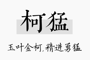 柯猛名字的寓意及含义