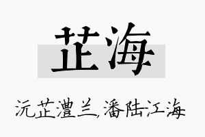 芷海名字的寓意及含义