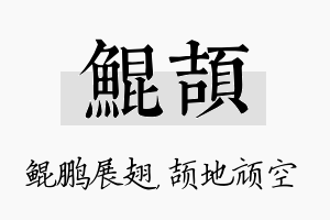 鲲颉名字的寓意及含义