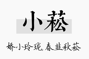 小菘名字的寓意及含义