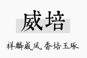 威培名字的寓意及含义