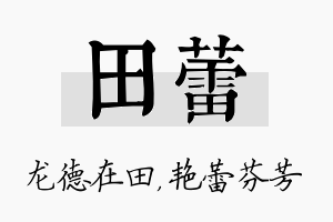 田蕾名字的寓意及含义