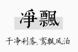 净飘名字的寓意及含义