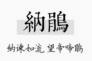 纳鹃名字的寓意及含义