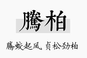 腾柏名字的寓意及含义