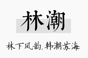 林潮名字的寓意及含义