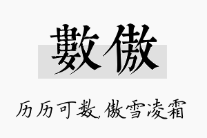 数傲名字的寓意及含义