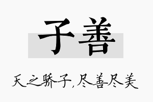 子善名字的寓意及含义