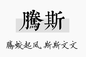 腾斯名字的寓意及含义