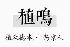 植鸣名字的寓意及含义