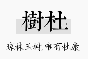 树杜名字的寓意及含义