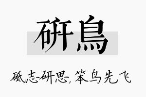 研鸟名字的寓意及含义