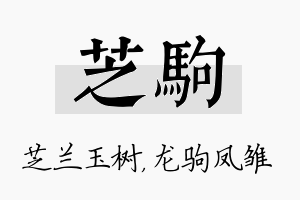 芝驹名字的寓意及含义