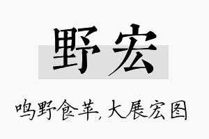 野宏名字的寓意及含义