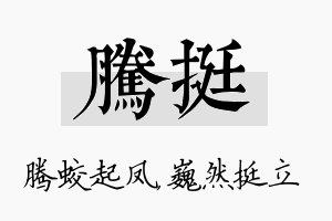 腾挺名字的寓意及含义