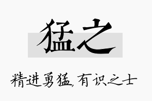 猛之名字的寓意及含义