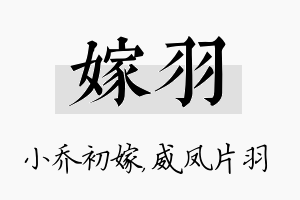 嫁羽名字的寓意及含义