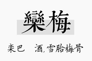 栾梅名字的寓意及含义