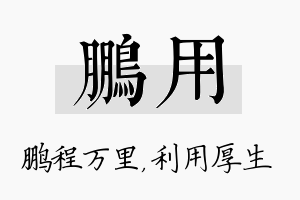 鹏用名字的寓意及含义