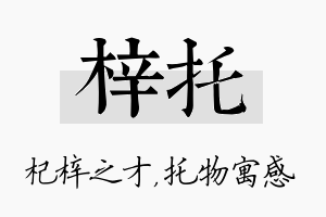 梓托名字的寓意及含义