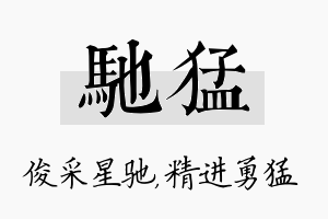 驰猛名字的寓意及含义