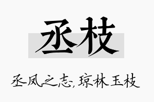 丞枝名字的寓意及含义