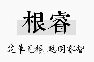 根睿名字的寓意及含义