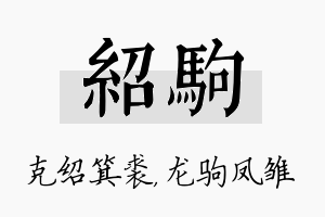 绍驹名字的寓意及含义