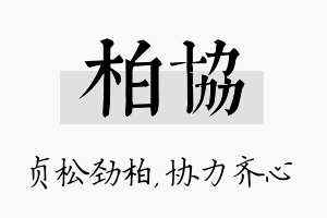 柏协名字的寓意及含义