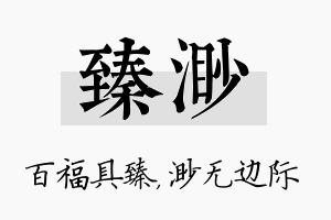 臻渺名字的寓意及含义