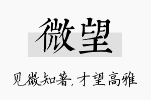 微望名字的寓意及含义