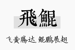 飞鲲名字的寓意及含义